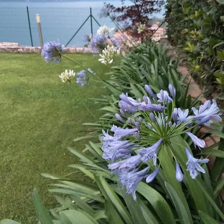 Hébergement de vacances Anna Brenzone