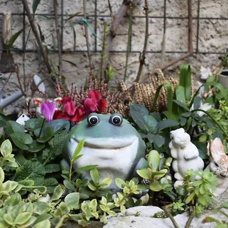 Anna ブレンゾーネ