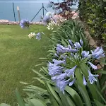 Ferienhaus Anna Brenzone sul Garda